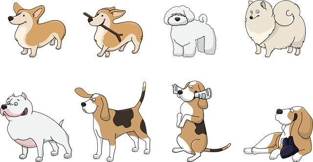 ペット用ヒーターの注意喚起と安全対策のイラスト