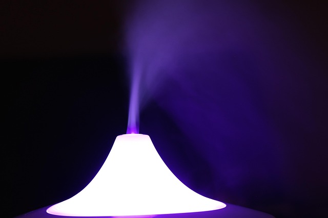 加湿器のパーツが分解され、清潔に保たれている様子
