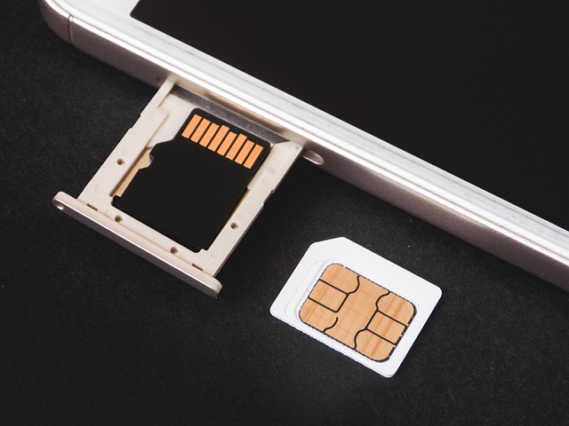 SDカードをカメラに挿入する様子とPCに接続するイメージ