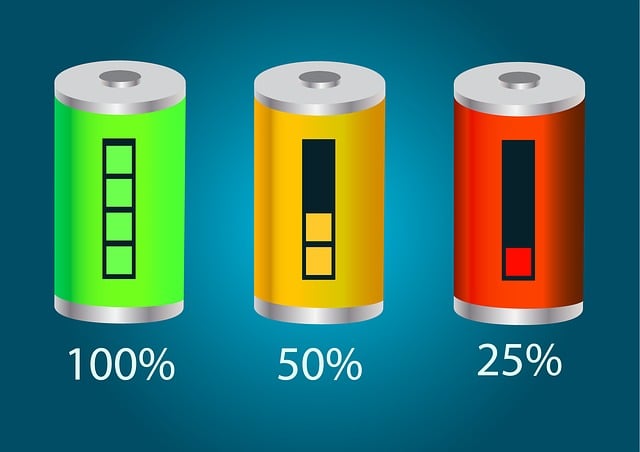 ソーラーバッテリーとソーラーパネルを接続し充電している様子