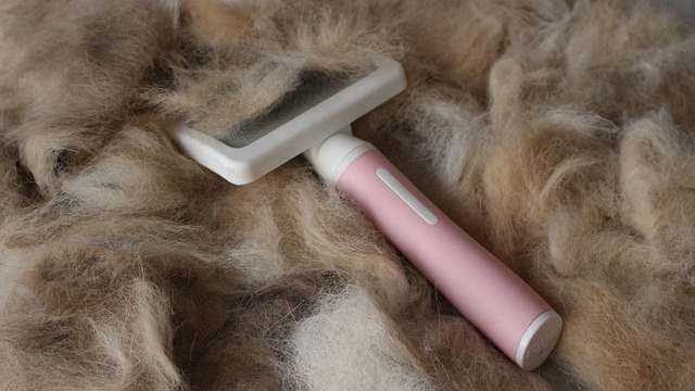 電動ヘアブラシで髪をとかす女性のイメージ