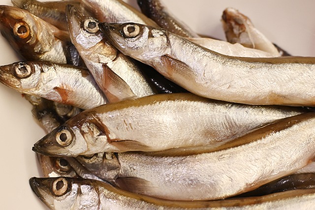 コンベクションオーブンで調理中の料理