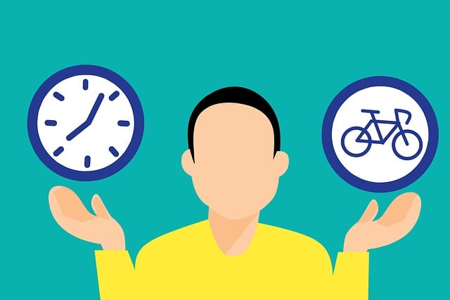 様々な種類のスタビライザーが並べられ、それぞれの特徴が比較されている様子