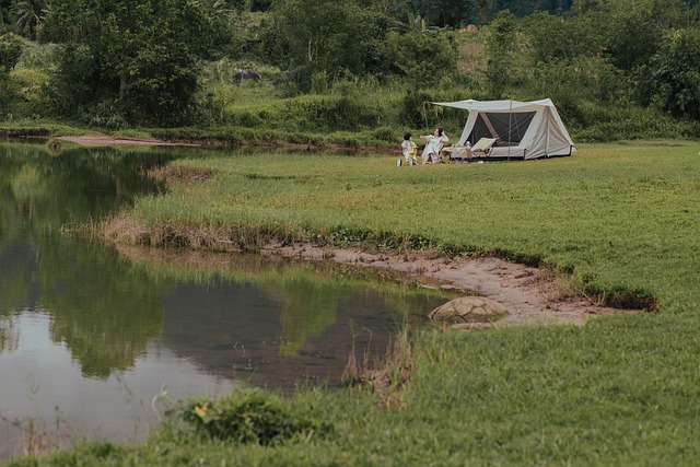 様々な形状のタープが並ぶキャンプ場の風景