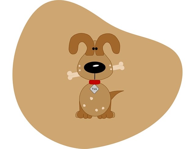 犬用トイレを掃除している飼い主の手元