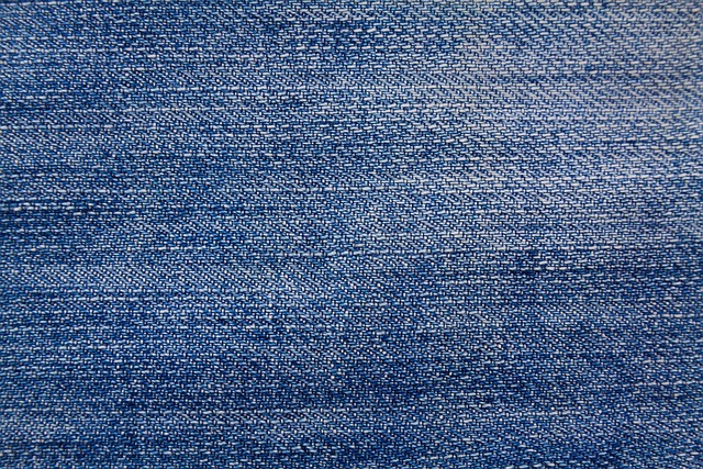 ペット用ケージの素材や構造をチェックする様子