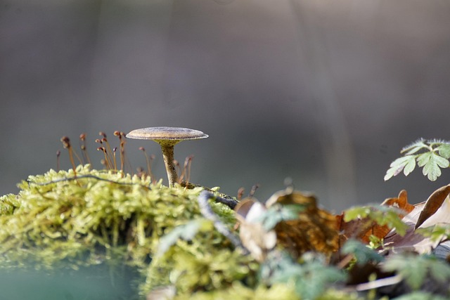 毛穴吸引器の吸引力レベル、ヘッドの種類、温熱機能などの性能表示が分かりやすく示されたイメージ