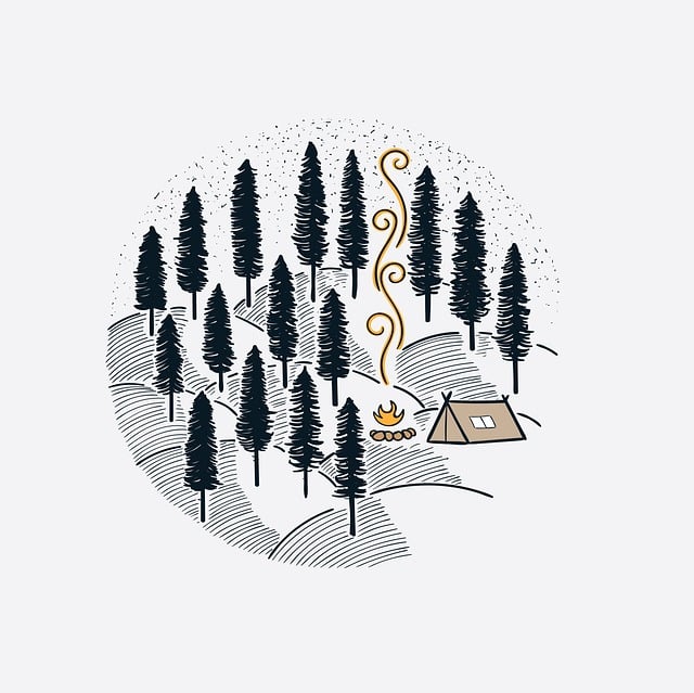 様々な種類のテントが並ぶキャンプ場の風景