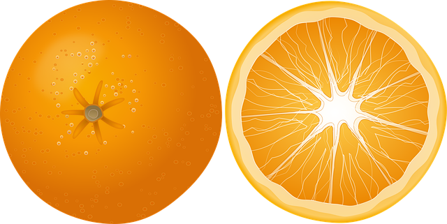 エスプレッソマシンの内部構造を示す図解
