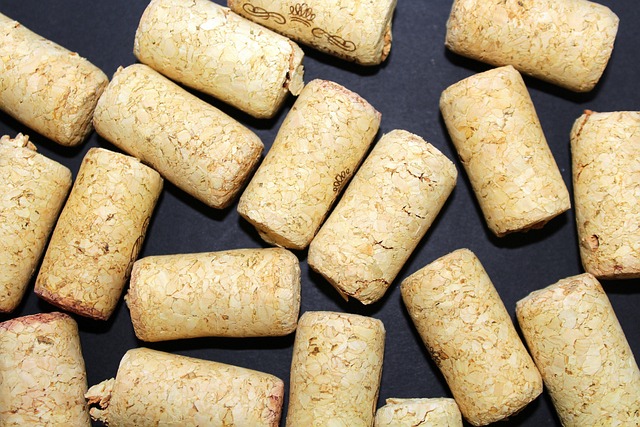 様々な素材とデザインのランニングキャップが並べられ、それぞれの特徴を比較している様子