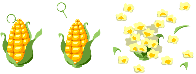 ポップコーンメーカーの購入前に注意すべき点をチェックリストで確認する人