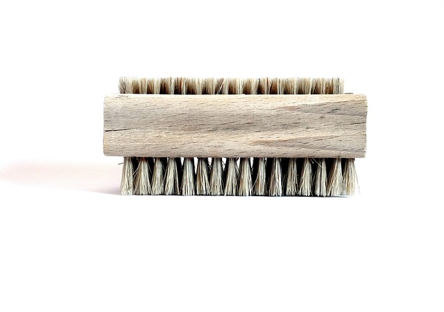 ブラシの毛先を拡大して、その細かさや密度を示すイメージ