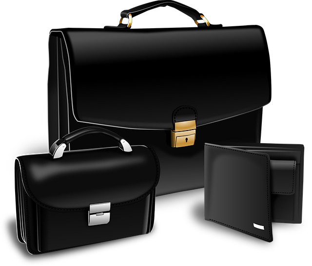 開かれた有線イヤホンケースの中にきれいに収納されたイヤホン