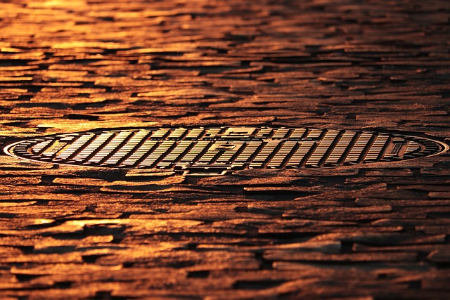 様々な素材とデザインのクーラーボックスカバーが並べられている様子