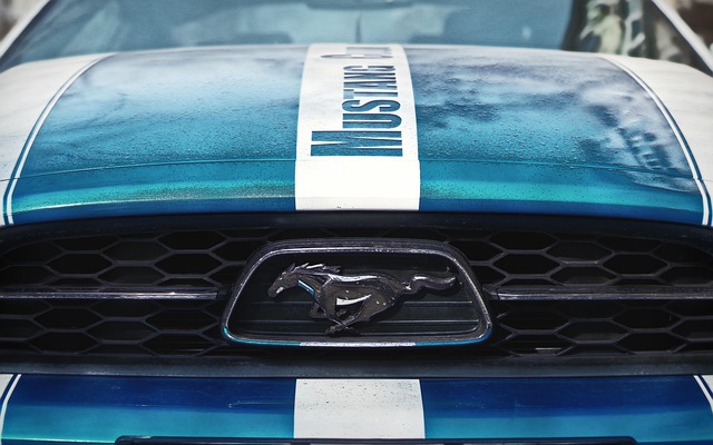 有名ブランドのロゴが入った高品質なボウルが並べられている