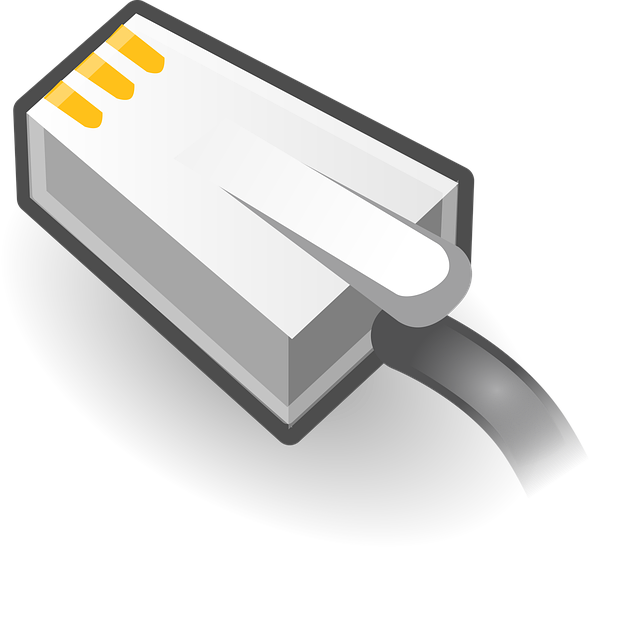 カラフルで多様なコネクタを持つPCケーブルのクローズアップ