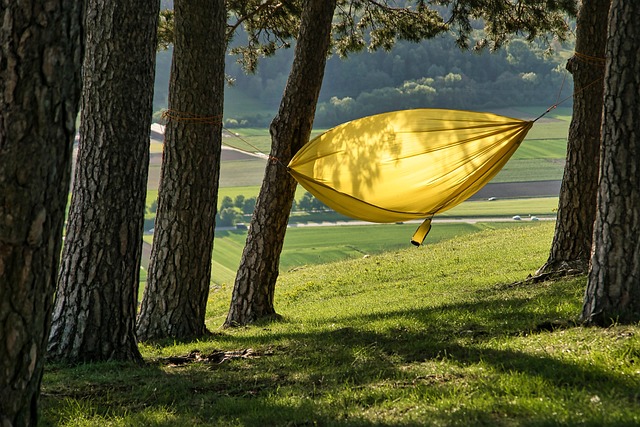 森の中でリラックスして座るハンモックチェア