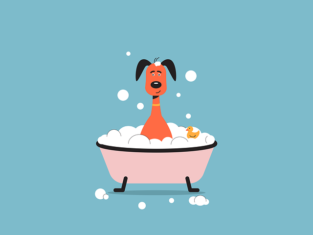 ペット用食器を丁寧に洗っている人の手元