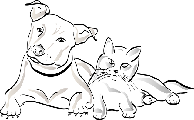 元気いっぱいの犬と猫が並び、その間に様々なペット用サプリメントが置かれている様子